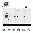 Robust Construction Low Maintenance High Strength Professional Grade Silent Natural Gas Generator Set