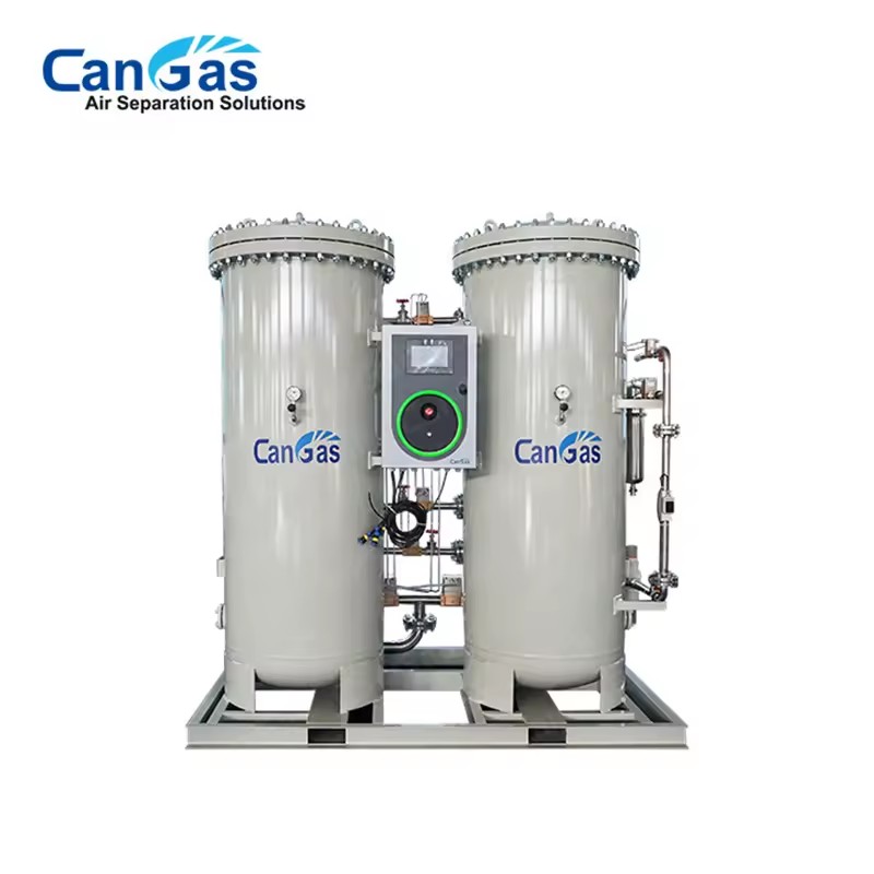 PSA Nitrogen Generator 30Nm3 Per h Nitrogen Gas Generation Equipment 95-99.9995% Purity 220V 380V Industrial Use