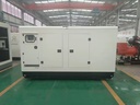 Special Offer 150kw High Efficiency 50Hz 1500rpm Syngas Natural Gas Generator Silent Type Water Cooled Use Homes and Hotels