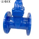 Cast Iron/Ductile Iron PN10 PN16 Flanged Non-Rising Stem Manual Water Gate Valve