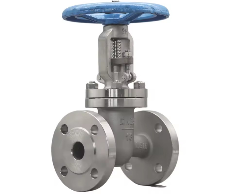 Manual Stainless Steel Flanged Gate Valve