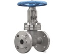 Manual Stainless Steel Flanged Gate Valve
