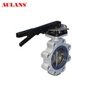 Factory Supply 4-12 Inch Stainless Steel Body Epdm Seat Manual Lug Butterfly Valve With Handle Lever 250mm
