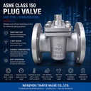 Sleeved Plug Valve Class 150 300 CF3M Body Ptpe Sleeve API 599 SS 304 316L Cast Steel