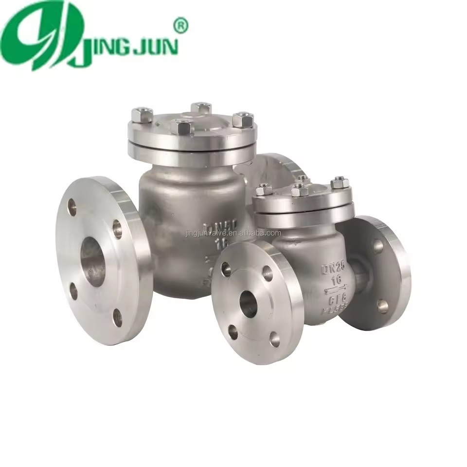 High-Quality Stainless Steel Flanged Swing Check Valve for Industrial Use