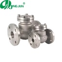 High-Quality Stainless Steel Flanged Swing Check Valve for Industrial Use