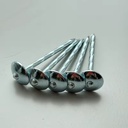 Wholesale Steel Roof Nails with Cap Umbrella Type Head with Smooth Shank for Roofing