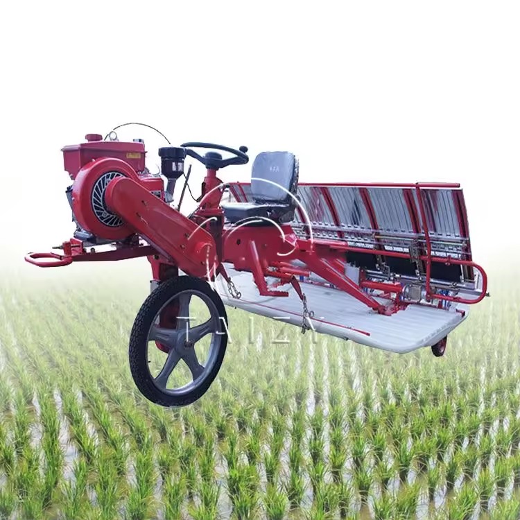 Rice Transplanter /Mini Rice Transplanter Price
