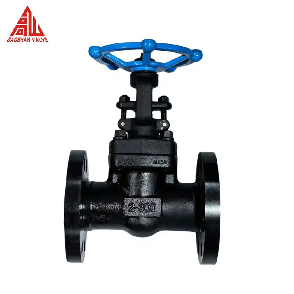 GS Z41H Gate Valve Forged Steel A105 2 Inch Class300/300LB Manual Forged Gate Valve