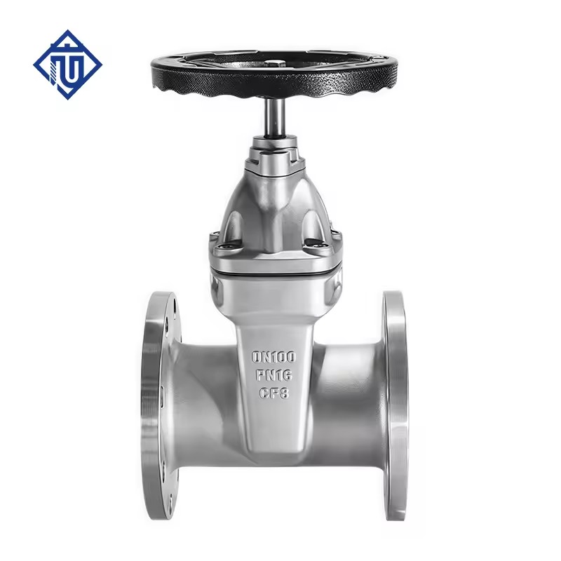 Stainless Steel NRS Resilient Seated Flanged Water Gate Valve DN50 DN100 Din