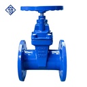 Customizable Heavy Duty Ductile Iron Manual NRS Resilient Seated Flanged Gate Valve