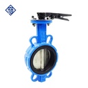 Ductile Iron Centerline Wafer Butterfly Valve for Water HVAC Pipeline PN10 PN16 Lever Operated
