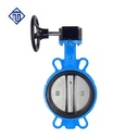 Ductile Iron EPDM Soft Seal Worm Gear Wafer Butterfly Valve with SS304 Disc