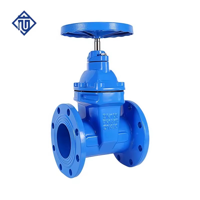 NRS Ductile Iron Flanged Resilient Seated Gate Valve for Water & Sewage
