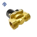Wanjiree Brass Diaphragm Solenoid Valve DC24V AC220V Durable Water Gas Oil 1in Port Size with Wholesale Price