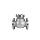 ASTM Standard 304 Stainless Steel Manual Swing Check Valve Flange for Oil High Temperature Applications 4 Inch/2 Inch Port Sizes