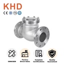 OEM Custom 304 Stainless Steel H44W-25P Cast High-Temperature Resistant Flange Check Valve Dn25 50 65 80 100 Flange Check Valve