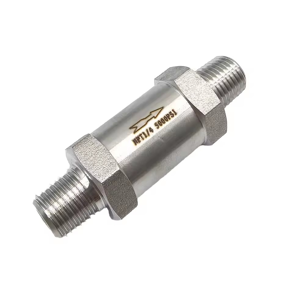 1/4 NPT Home Unidirectionnel Valve Stainless Steel Check Valve 304 Gaz En Acier Inoxydable Eau Huile Non-Retour 915 PSI Soupape