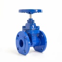 OEM/ODM DN50 Ductile Iron Flanged Non-Rising Stem Soft Seal Gate Valve for Water