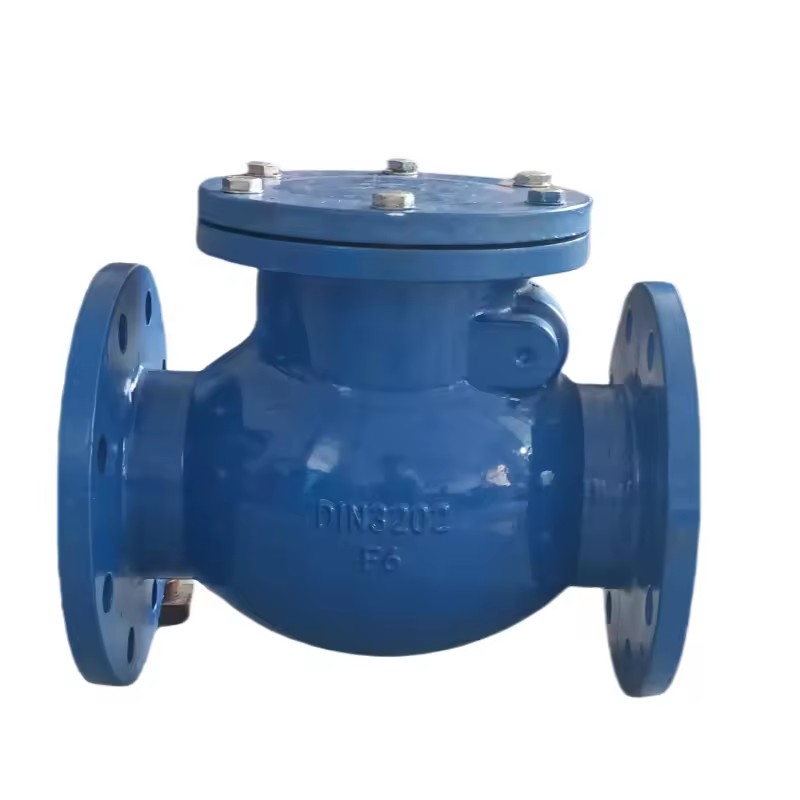 Ductile Iron Pressure Reducing Valves Flap Check Valve for Water Pump