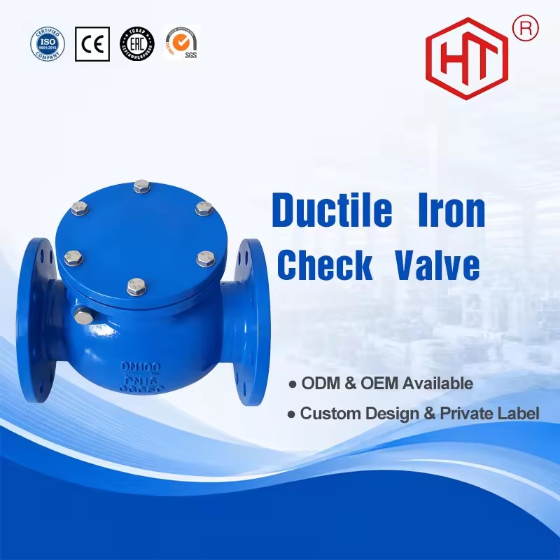 Cast Iron Check Valve Horizontal One-way Check Valve Flange Swing Check Valve