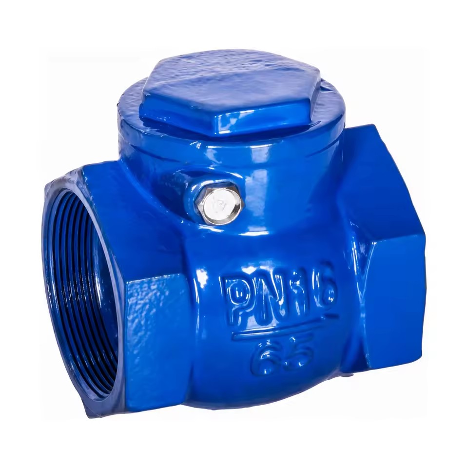 Ductile Cast Iron Check Valve PN16 3/4 in - 4 in H11X-16Q