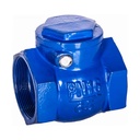 Ductile Cast Iron Check Valve PN16 3/4 in - 4 in H11X-16Q