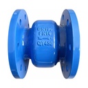 Ductile Cast Iron Check Valve PN25 2 in - 12 in HC41X-25Q for Backflow Prevention