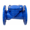 Ductile Cast Iron Check Valve PN16 2 in - 32 in H44X-16Q for Backflow Prevention