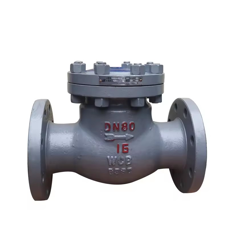 API 6D/BS 1868 WCB/SS304/SS316 Cast Steel Class 150 Flange Check Valve Manual Power for Water Media