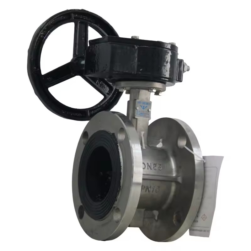 RDNT Manual Stainless Steel 304 Flanged Vertical Plate Butterfly Valve for Water Flow Control