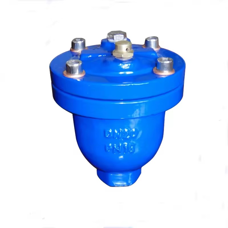 Chemical Industry Valve Accessories DI Internal Threaded Air Release Valve