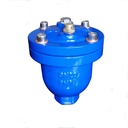 Chemical Industry Valve Accessories DI Internal Threaded Air Release Valve