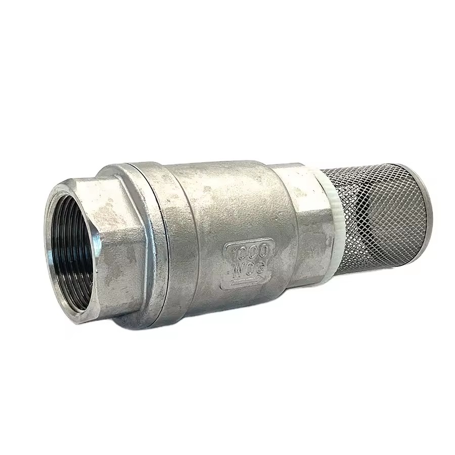 Wcb Cf8 Cf8m Stainless Steel Threaded Vertical Check Valve Filter