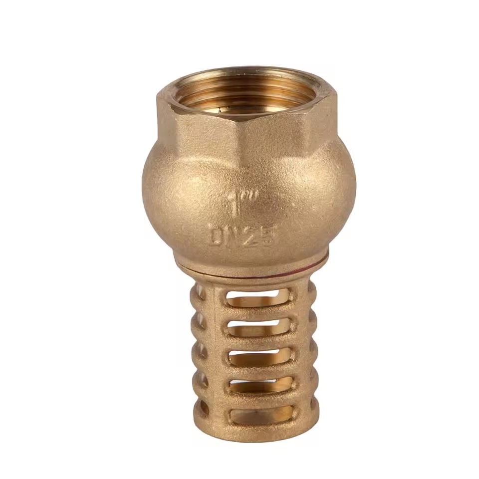 OEM Durable 1-inch Industrial Brass Filter Vertical Brass Pump Foot Check Valve