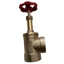 1.5inch 2inch Fire Landing Hydrant Brass Angle Valve/Check Valve for Water Manual Power General Application