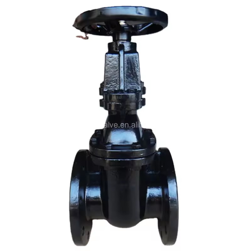Cast Iron Gate Valve for Water & Gas Manual & Hydraulic Power General Application