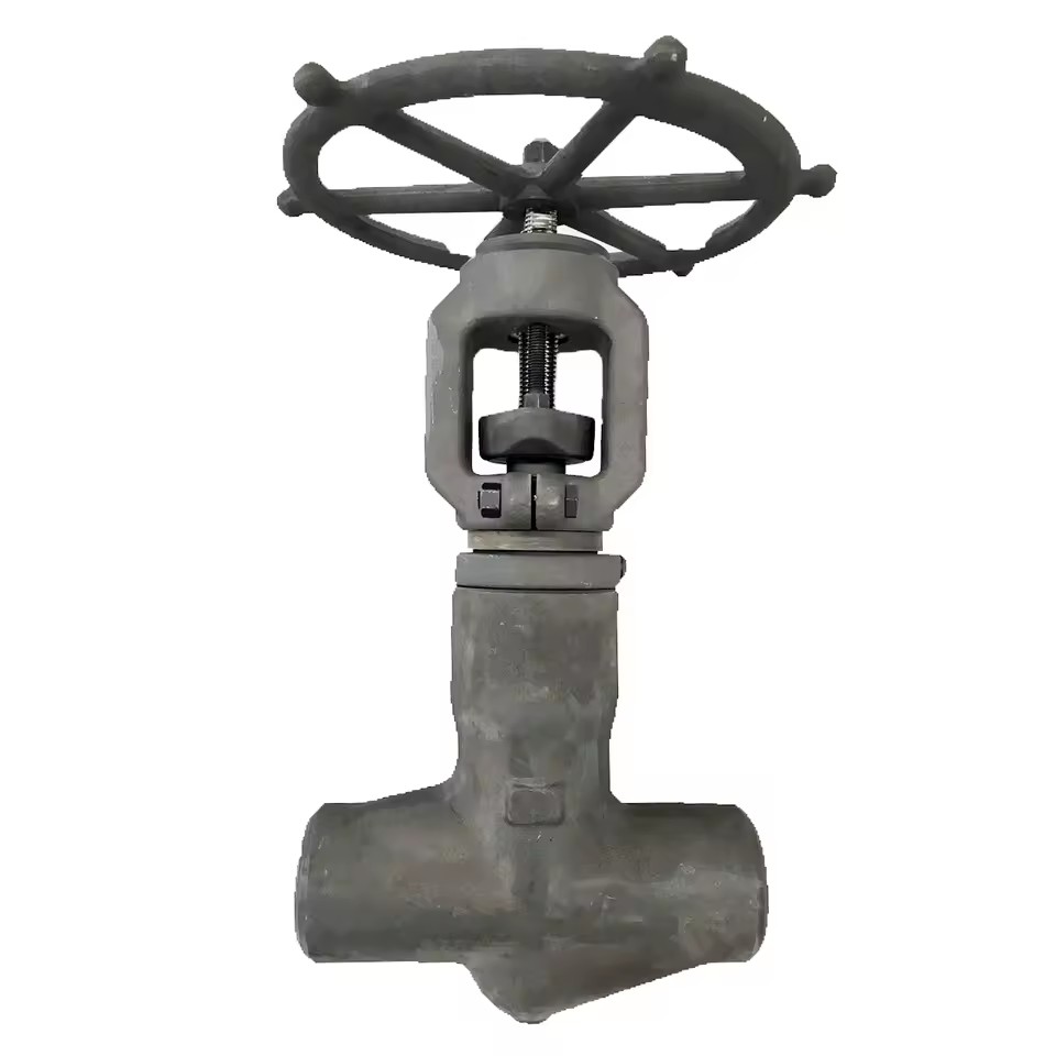T-Pattern Stainless Steel High Performance Service Proven Technology Designed Critical Service Globe Valve