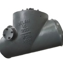 DN350 Power Generation High Temperature WCB Check Valve Brand