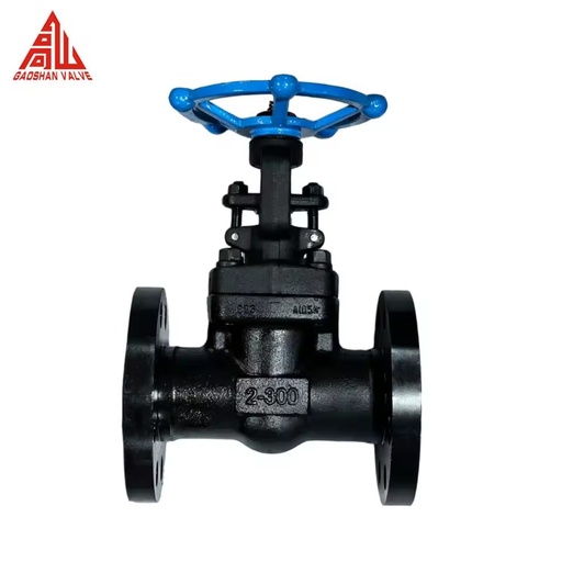 GS Z41H Gate Valve Forged Steel A105 2 Inch Class300/300LB Manual Forged Gate Valve