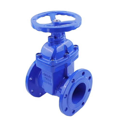 High Quality Ductile Iron Elastic Sealing Hydraulic Electric Manual Power for Water Media General Application Flange Gate Valve
