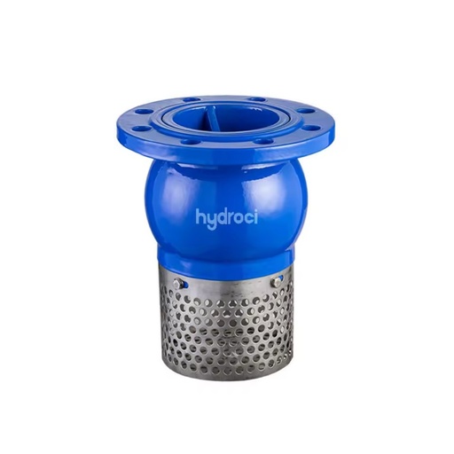 Clapet Daspiration (Suction Flap Valve) Steel Crepine Designed for Drinking Water Non-Corrosive Liquids Municipal Wastewater