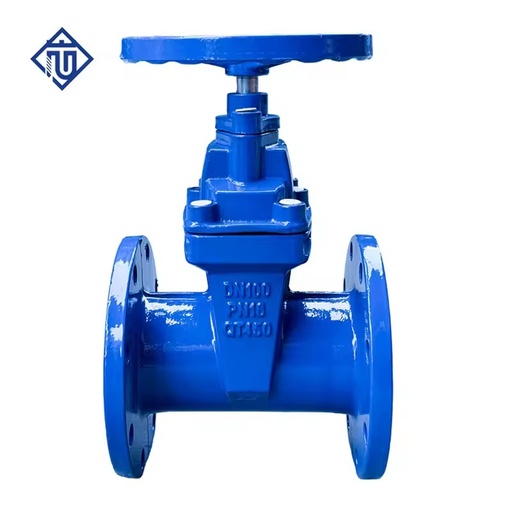 Customizable Heavy Duty Ductile Iron Manual NRS Resilient Seated Flanged Gate Valve