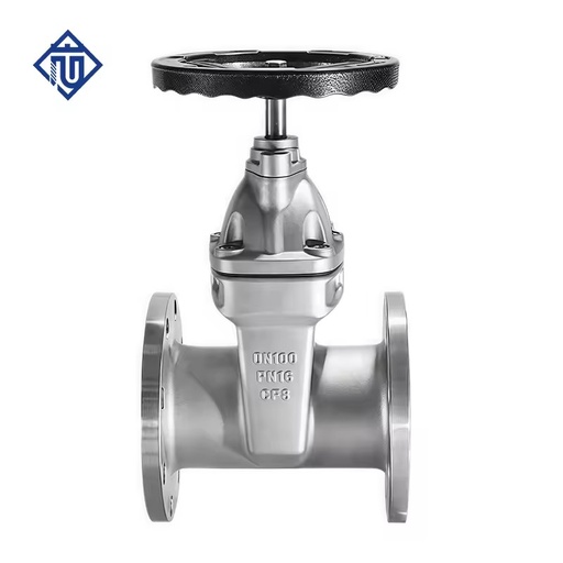 Stainless Steel NRS Resilient Seated Flanged Water Gate Valve DN50 DN100 Din