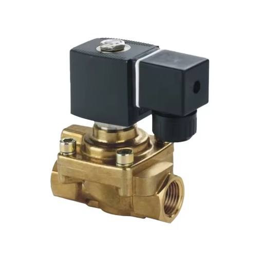 High Pressure 2 Way Brass Solenoid Valve Normally Closed AC220V DC24V for Water Air Oil