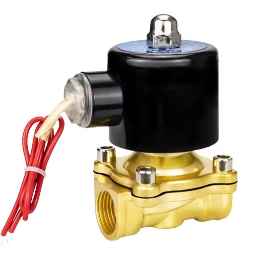 1/2 Inch Stainless Steel Electric Solenoid Valve 12VDC/24VDC 110VAC/220VAC for Water Control OEM