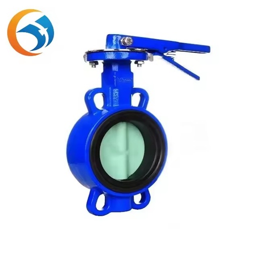 Stainless Steel Butterfly Valve Flap Type Check Valve Pipe Fittings for Water Oil Gas Base Hydraulic Actuated Supplier Product