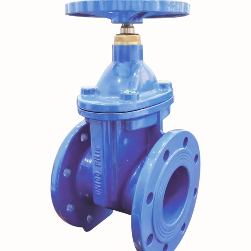 Epoxy Coated Gate Valve Anti Corrosion Internal External Powder Layer Long Life Service Municipal Network Part