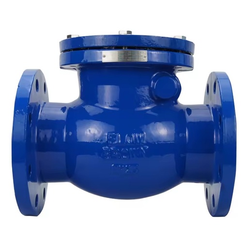 ANSI 6 Inch PN16 Ductile Iron Cast Iron Swing Check Valve for Sea Water