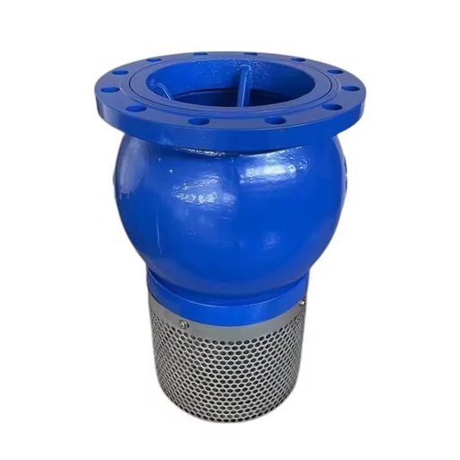 6 Inch Cast Iron Foot Valve with Stainless Steel Strainer, PN16 Manual Bottom Valve for Irrigation and Pumping Systems